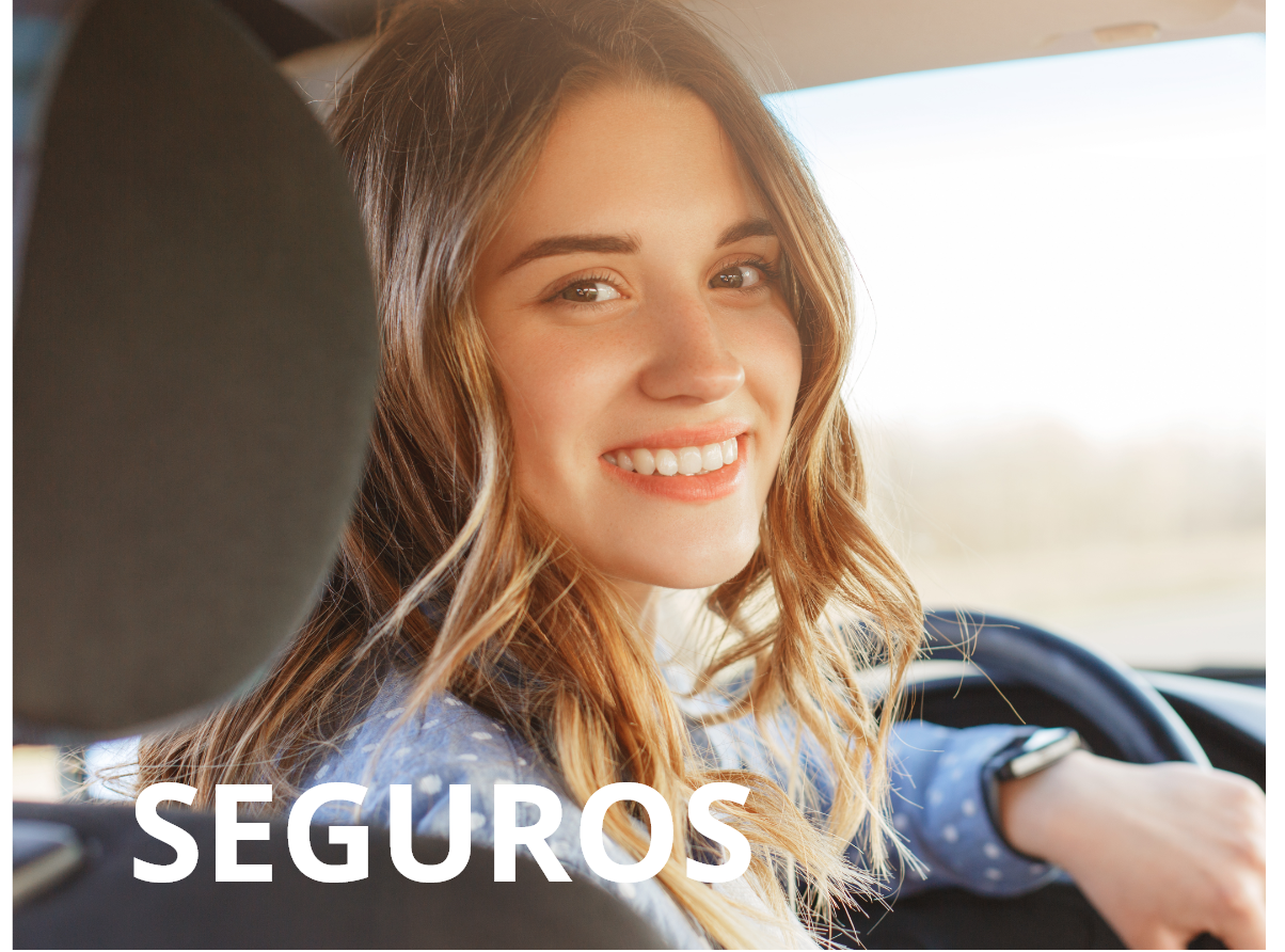 Seguros (2)